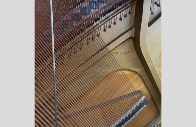 Yamaha Polished Mahogany M1J Upright Piano, Used - All Inclusive Premium Package (SN:D3715588) - Image 13